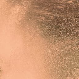 Black Friday Buy 3 Tans Get 1 Free